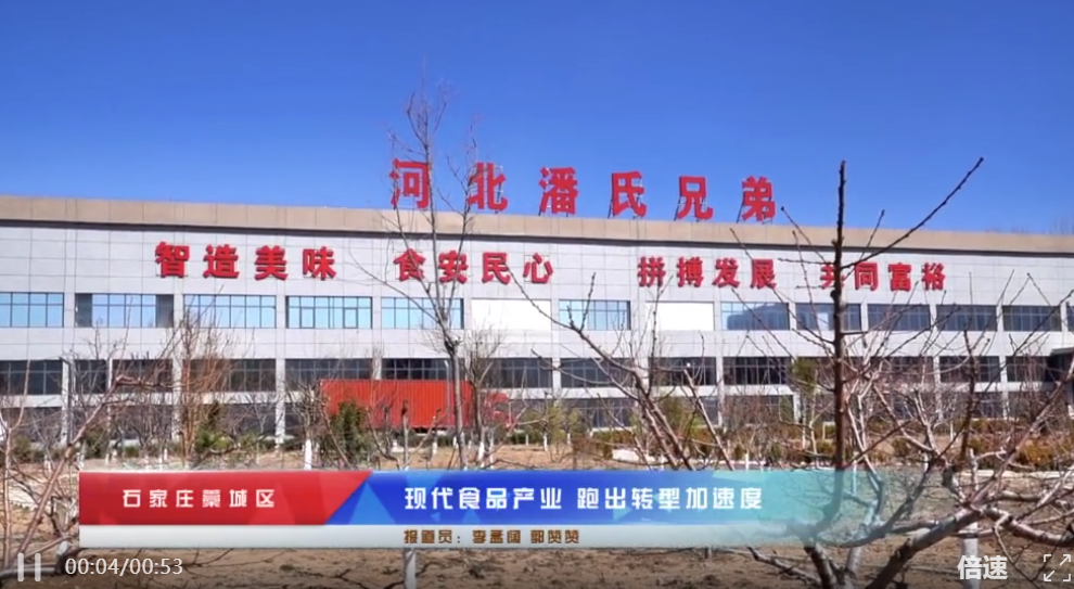 央媒看藁·产业标杆 | 河北潘氏兄弟食品科技有限公司登上中新网，彰显食品产业升级硬实力